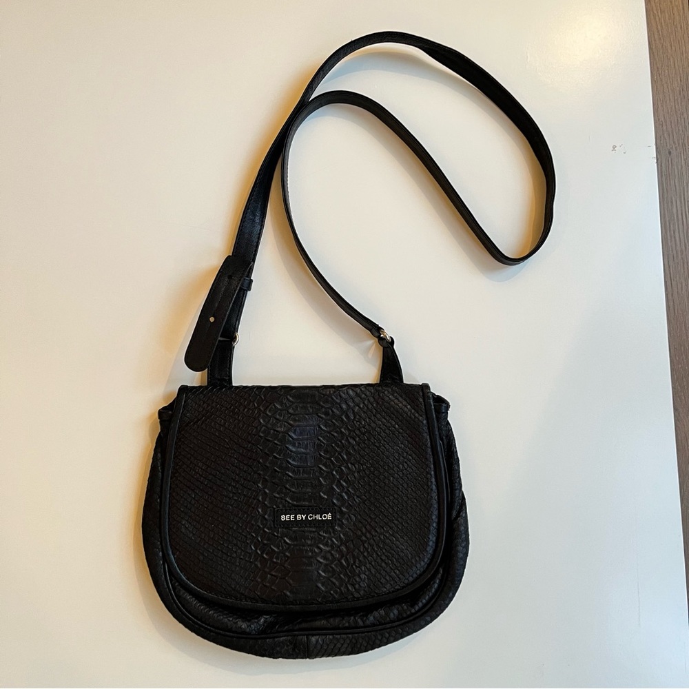 Vintage See By Chloe crossbody bag